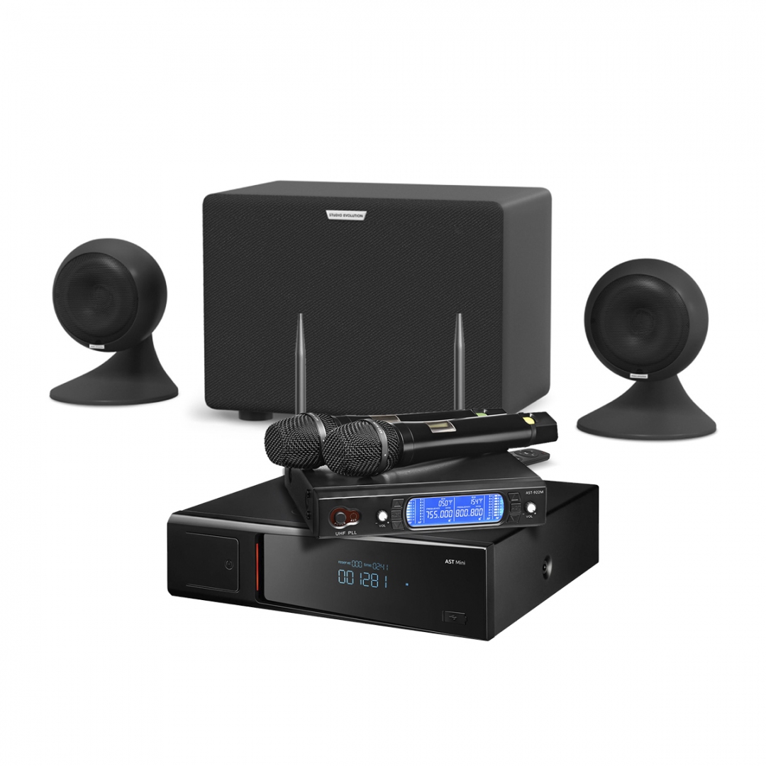 караоке-комплект AST Mini Sound Sphere в Усть-Ордынском