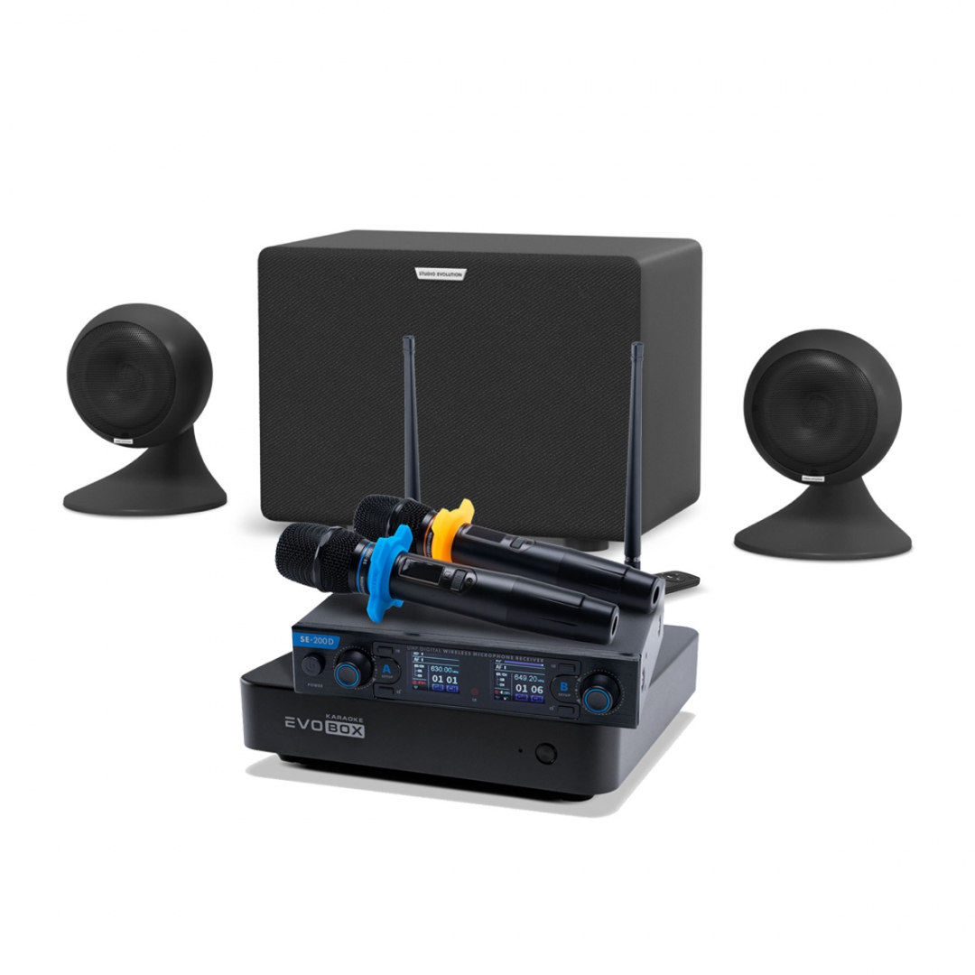 караоке-комплект EVOBOX + EvoSound Sphere 2.1 в Усть-Ордынском