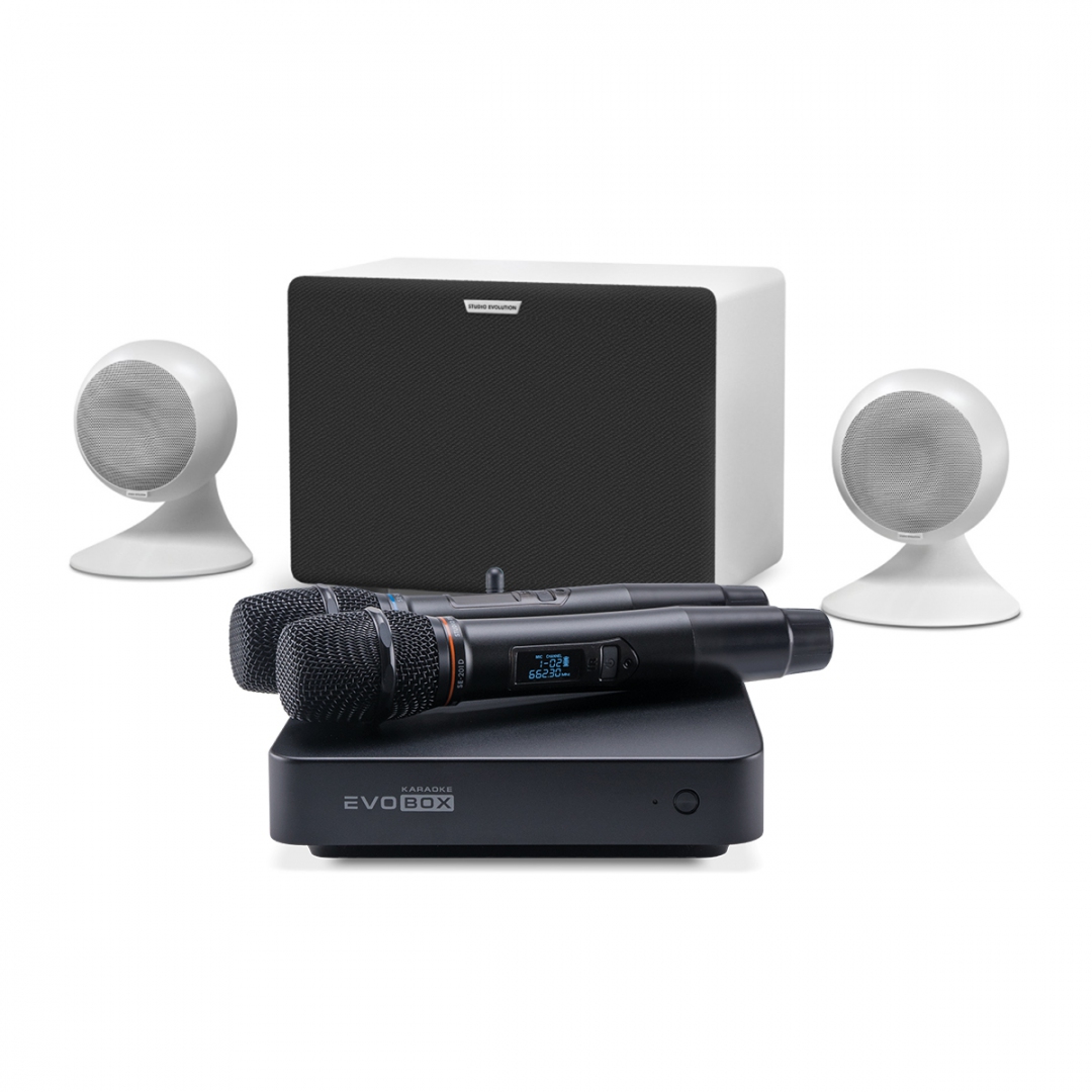 караоке-комплект EVOBOX Classic + EvoSound Sphere 2.1 в Усть-Ордынском