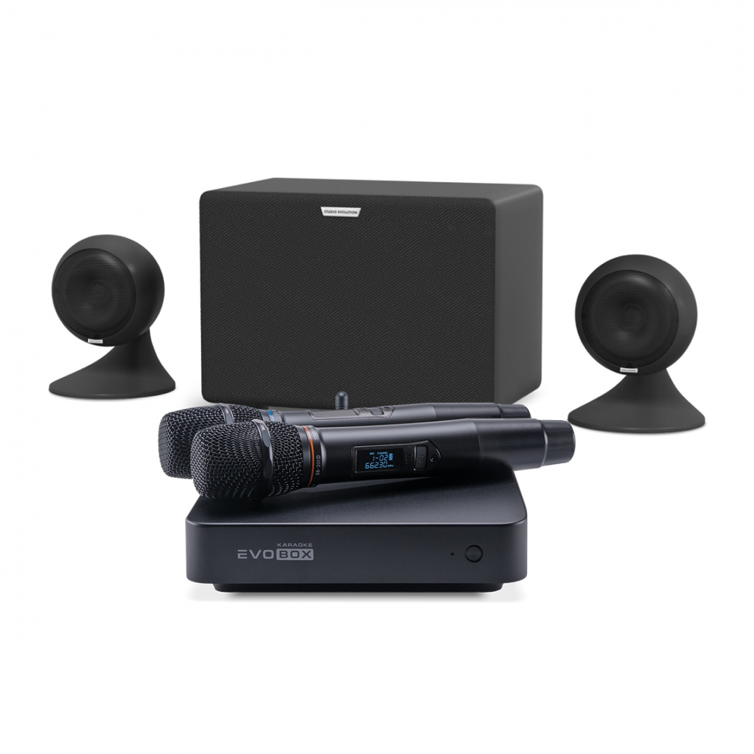 караоке-комплект EVOBOX Plus + EvoSound Sphere 2.1 в Усть-Ордынском