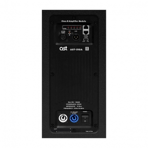Активная акустическая система AST-310A в Усть-Ордынском