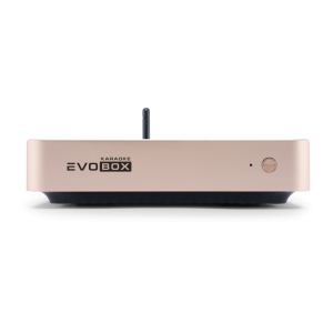 EVOBOX Classic караоке-система для дома в Усть-Ордынском