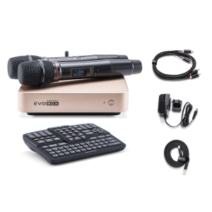 EVOBOX Classic караоке-система для дома в Усть-Ордынском