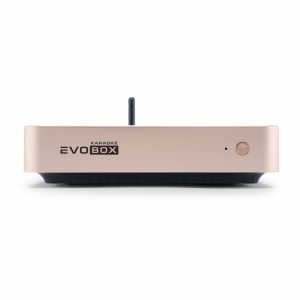 EVOBOX Plus караоке-система для дома в Усть-Ордынском